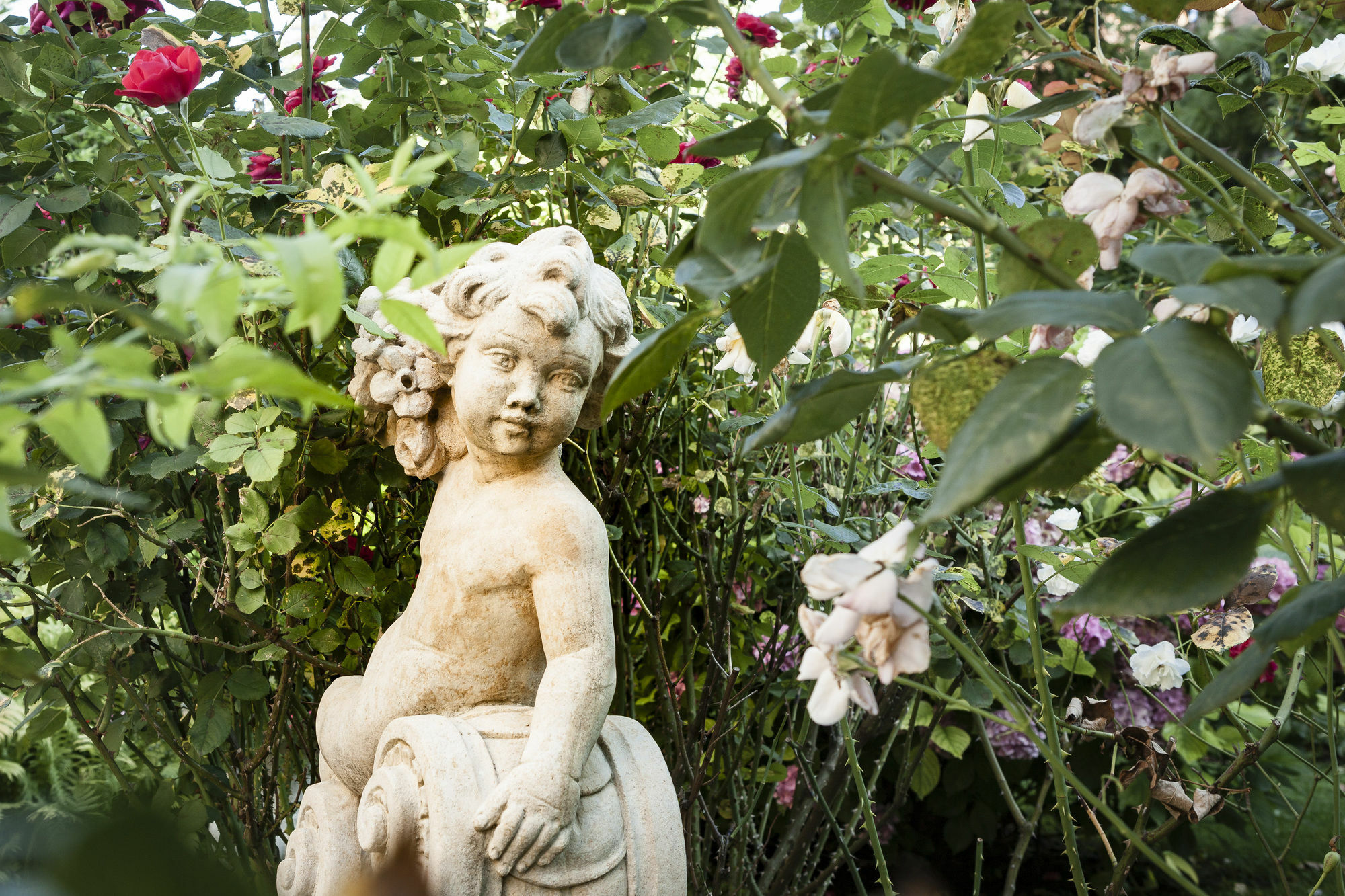 Park 4* Wien